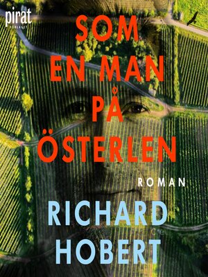 cover image of Som en man på Österlen